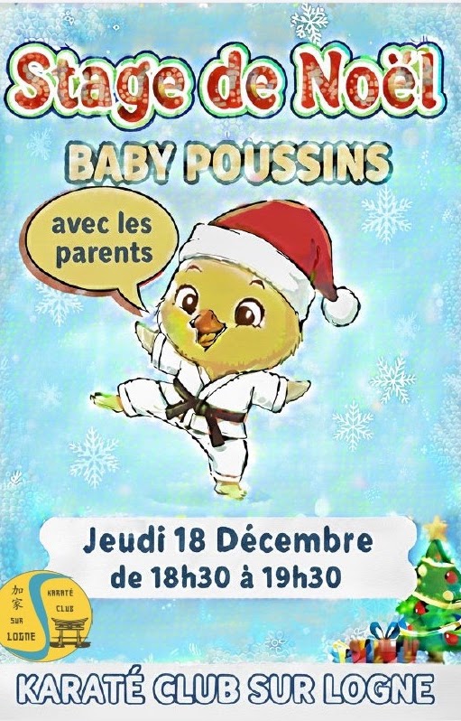 Stage de Noël Baby/Poussin, le 18 décembre 2025